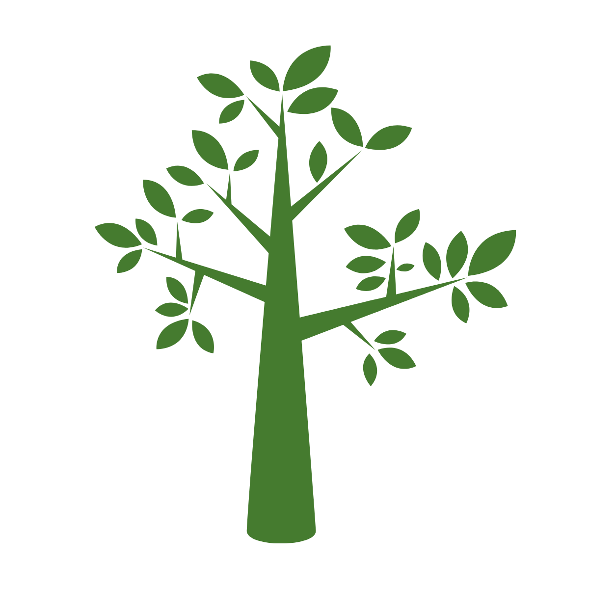 ./images/plant.webp